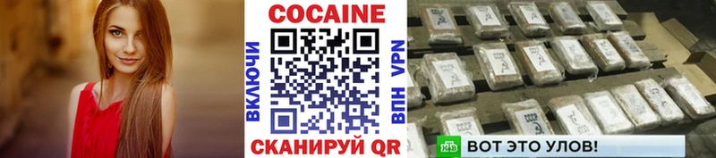 как найти наркотики  Судогда  КОКАИН Fish Scale 