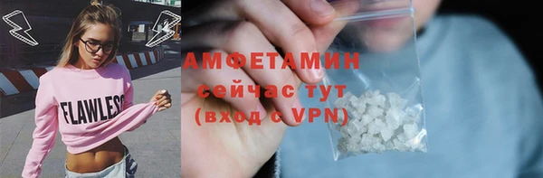 мдпв Пестово