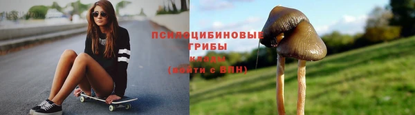гидра Покров