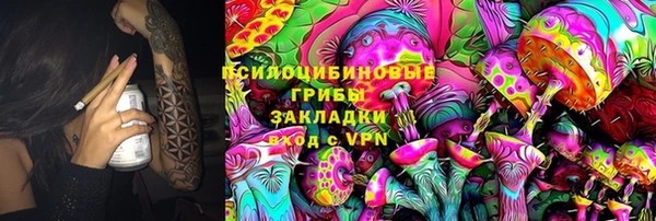гидра Покров